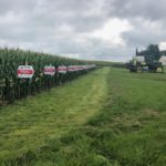 2019 plot day